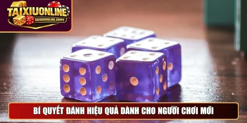 Bí quyết đánh hiệu quả dành cho người chơi mới Bí quyết đánh hiệu quả dành cho người chơi mới
