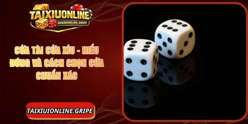 Cửa Tài Cửa Xỉu - Nghiên Cứu Để Có Lựa Chọn Chính Xác