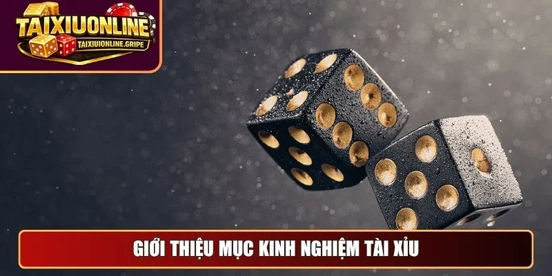 Giới thiệu mục kinh nghiệm tài xỉu online