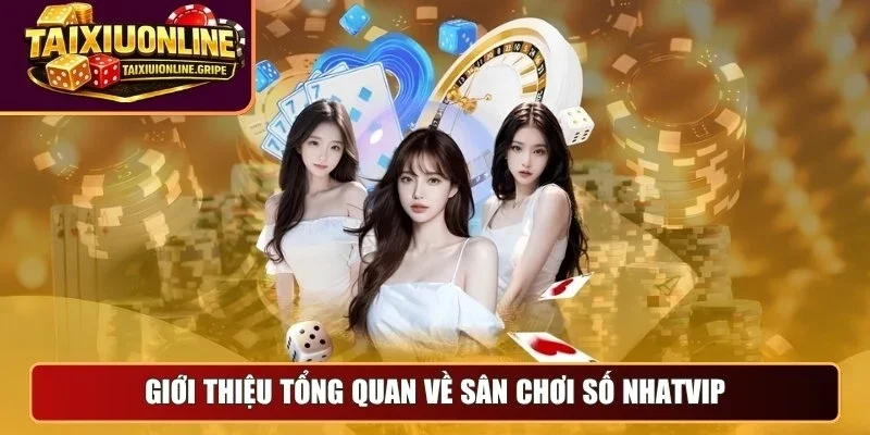 Giới thiệu tổng quan về sân chơi số Nhatvip Giới thiệu tổng quan về sân chơi số Nhatvip