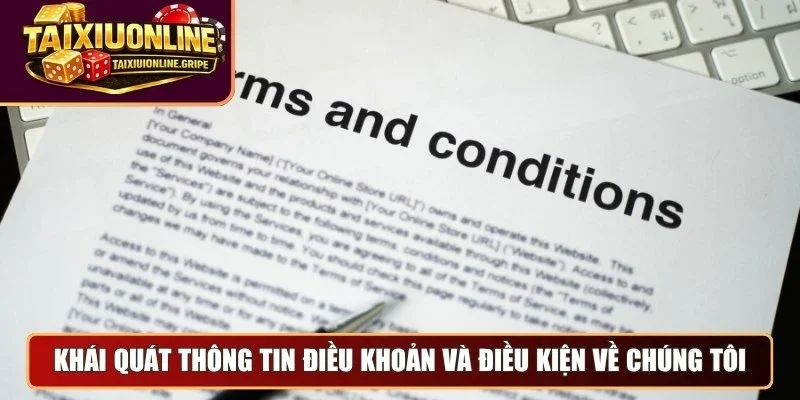 Khái quát thông tin điều khoản và điều kiện về chúng tôi