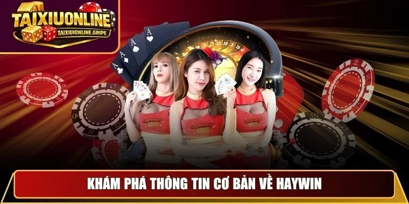 Khám phá thông tin cơ bản về Haywin Khám phá thông tin cơ bản về Haywin