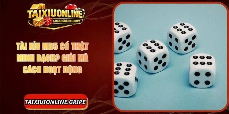 Tài Xỉu MD5 Có Thật Minh Bạch? Giải Mã Cách Hoạt Động