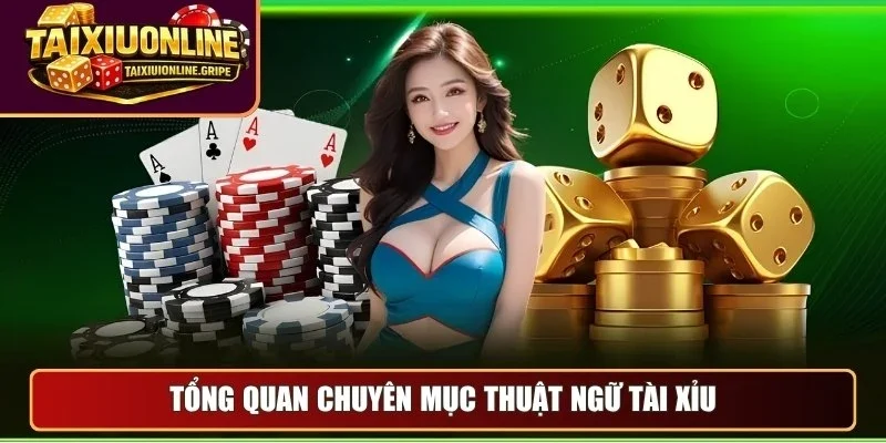 Tổng quan chuyên mục thuật ngữ tài xỉu online