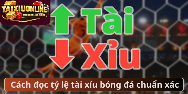 Cách đọc tỷ lệ tài xỉu bóng đá chuẩn xác Cách đọc tỷ lệ tài xỉu bóng đá chuẩn xác