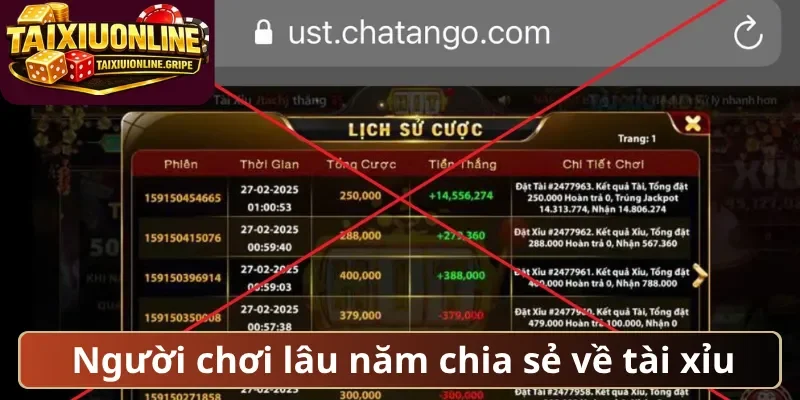 Người chơi lâu năm chia sẻ về tài xỉu Người chơi lâu năm chia sẻ về tài xỉu