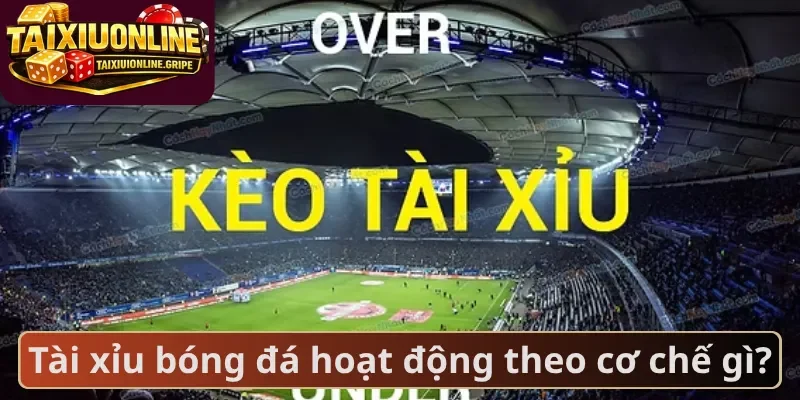 Tài xỉu bóng đá hoạt động theo cơ chế gì Tài xỉu bóng đá hoạt động theo cơ chế gì