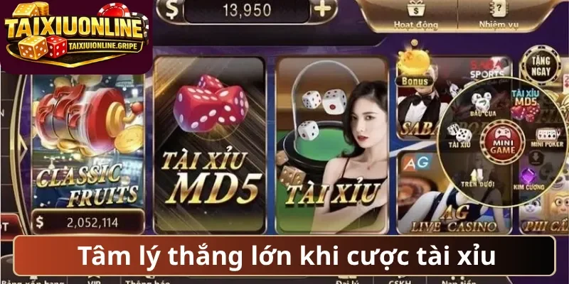 Tâm lý thắng lớn khi cược tài xỉu Tâm lý thắng lớn khi cược tài xỉu